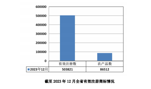 截至2023年12月 贵州有用注册字号超50万件